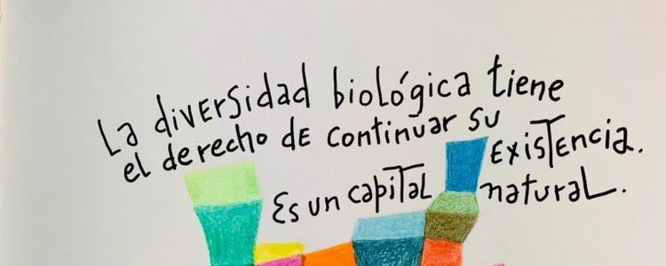 Día Internacional de la Diversidad Biológica