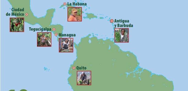 Rosario entre las 10 ciudades más verdes de América Latina y el Caribe por su Agricultura Urbana, segun el ultimo informe FAO