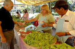 Verduras frescas