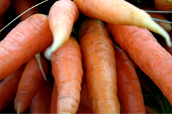 Verduras procesadas